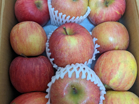 信州りんご🍎４キロパック詰め