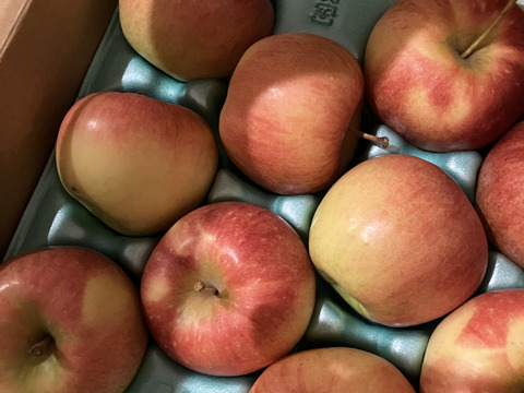 低農薬で皮ごとガブり！赤りんご小玉サイズ🍎2kg 家庭用丸かじりサイズ【小玉りんご】
