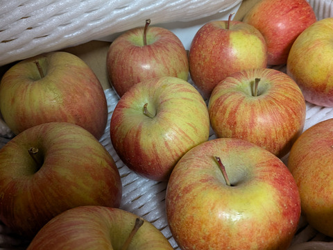 山形県産りんご　訳ありサンふじ　バラ詰め３㎏　ご家庭用