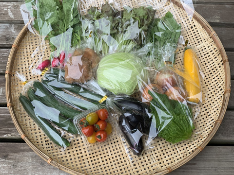 【夏ギフト】夏限定！しいたけと夏野菜、お楽しみＢＯＸ　mini　しいたけ1袋＋夏野菜4袋入り