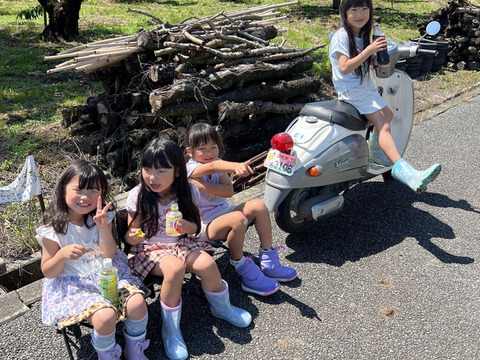 山梨県産　特上　桃　約700ｇ（２玉〜３玉）