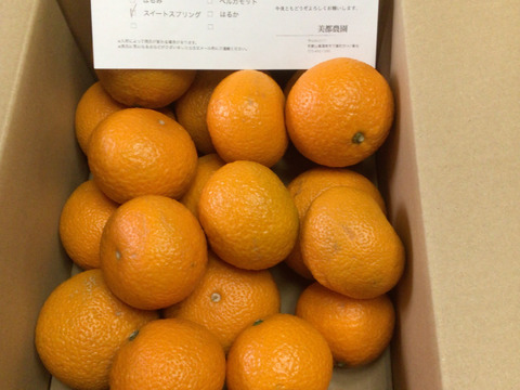 新品 ☆和歌山☆【春の柑橘】スイートスプリング 5kg：和歌山県産の 果物