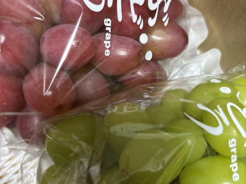 【訳あり2】クイーンルージュ®︎、シャインマスカットセット(各1房)長野県限定品種