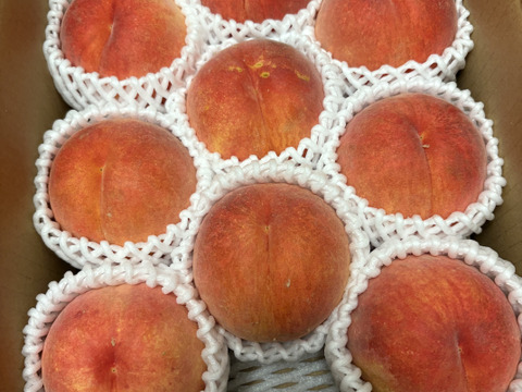 季節の黄桃約2キロ5-10個入　訳あり家庭用  農薬半減栽培