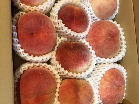 【すぐ発送！🍑朝採れ山梨白桃】約３キロ！特大～中サイズ８～１１個！一度食べたら忘れられない  その時期一番おいしい品種をお届け【品種おまかせ】