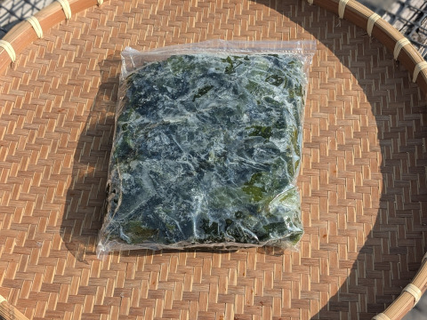 🉐茎つき丸ごと！業務用にも！さだ岬の生わかめ1kg「産地直送・丸ごと出荷だからこのお値段にできました！」