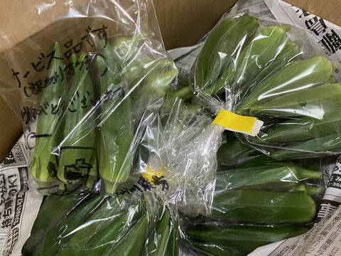 食べ切り🉐ネバネバたっぷり！石垣島産バラエティオクラ　5袋(1袋/13〜15本入)
小さいのや、大きいのや、太いのや、色々なオクラの詰め合わせ‼️