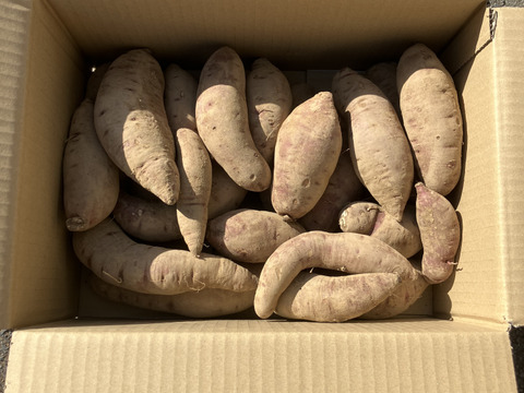 ２ヶ月貯蔵　紅はるか 4.8kg