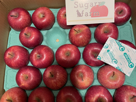 食べ切りサイズ！サンふじ２３玉（小玉ｻｲｽﾞ）5ｋｇ