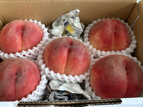 2026年完売御礼！8月上旬～ あかつき(家庭用) 1．5kg（3～9