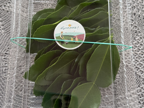 こぶミカンの葉 バイマックルー 約100g
