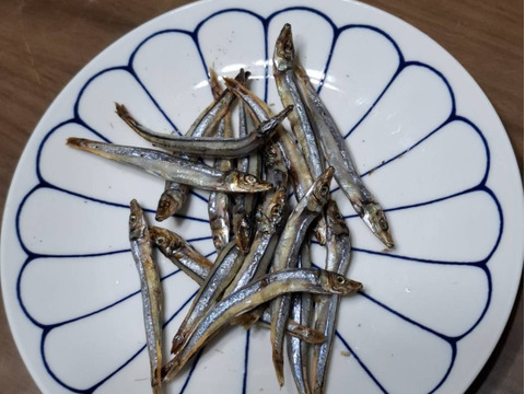 キビナゴ 生   冷凍 総重量1kg