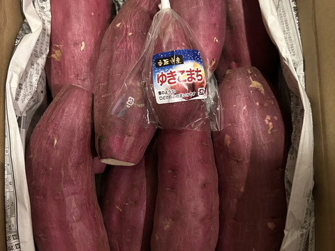 【値下げ】どすこいサイズ「紅はるか」 5キロ箱【訳あり】