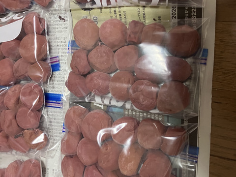 予約受付中】紀州南高梅 青梅 10kg（5kg×2箱）大粒 2L〜3L 有田川町産