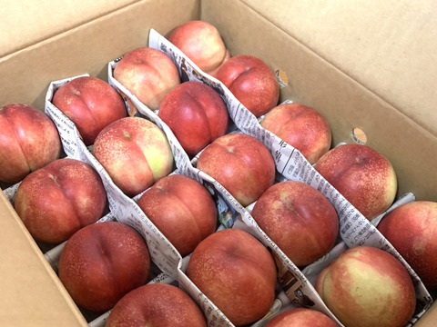 終盤❗️ネクもも🍑ハネージュ🍑3キロ箱　規格外　訳あり