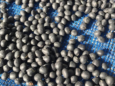 令和五年産 "農薬不使用栽培" 安心 安全 美味しい『丹波黒豆』500g