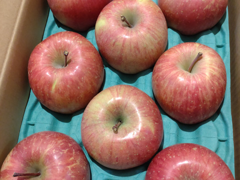 【王道サンふじ】　3㎏　8～12玉　本場青森りんご　農家直送　元気なりんご