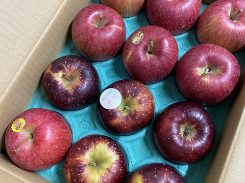 秋りんご食べ比べセット【秋映・シナノスイート】　9個から12個