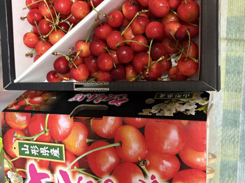 紅秀峰•令和8年度完売！！感謝御礼！来年度ご注文開始
