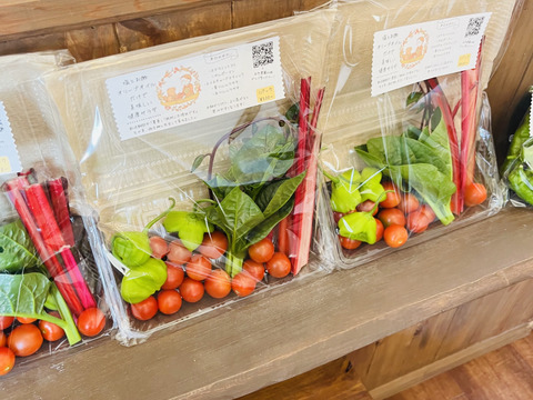 【農薬肥料不使用】塩とお酢  オリーブオイルだけで美味しい健康サラダセット３日分&季節の旬野菜 １種類