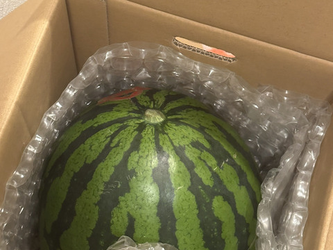 人気No. 1“特選”大玉スイカ🍉3L （8〜9kg）   1玉入り　一つ一つ厳選しお届けします👨🏽‍🌾