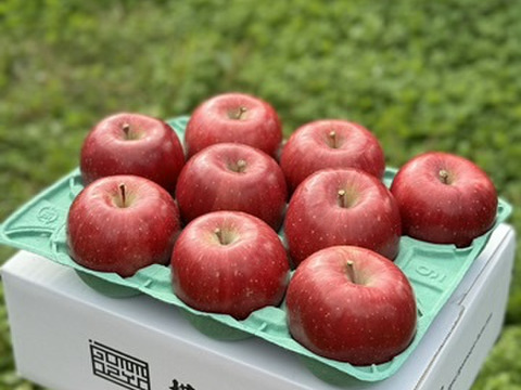 青森県産りんご　葉とらずりんご　コスモふじ　家庭用3㎏【6～14個入り】