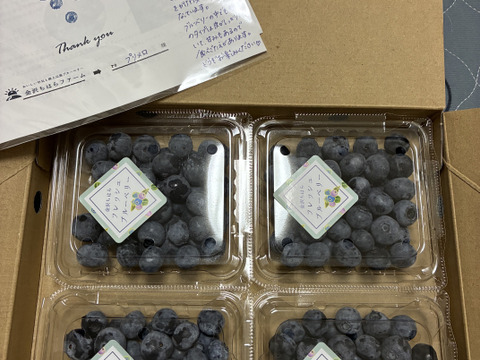 【贈答用】【生食用】おいしい空気で育った樹上完熟～中粒～ブルーベリー＜恵＞125ｇ×4