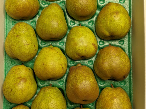 ラ・フランス5kg