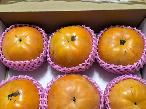 サクサク食感、激甘！「太秋柿」(ご家庭用・2kg)