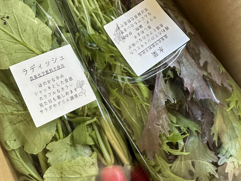 【箱いっぱいにお届け！】農薬不使用キラピカ旬野菜BOX11〜12品、朝穫れ農の島＊大三島＊よりお届け！