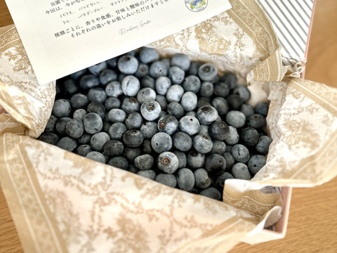 極上】完熟 生ブルーベリー！ 甘くてジューシーな 500g：静岡県産の