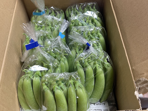 ☆数量限定価格☆『スナップエンドウ』1Kg　小分けになってます♪