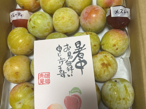 味と香りが自慢のすもも　彩の姫　約2Kg