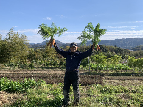 【自然農】旬の冬人参（4kg）無施肥・農薬不使用・自家採種・露路栽培・自然の恵100％