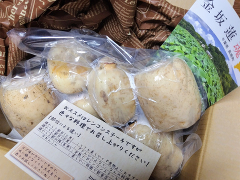 はね出し 自然栽培れんこん1kg 真空【10～翌4月下旬】【満天☆青空レストランで紹介】