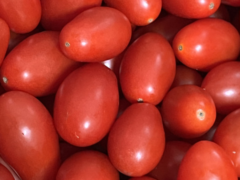 美肌トマト🍅濃厚ロッソナポリタン(2kg)