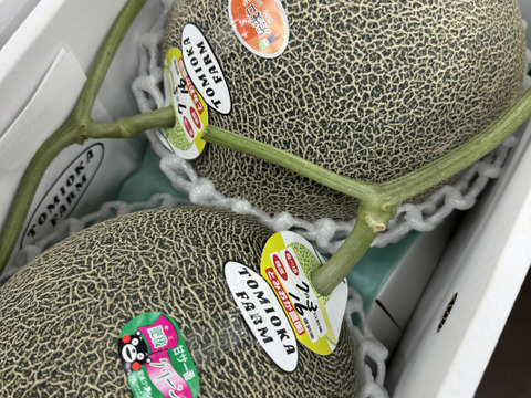 【食べ比べ】熊本ブランド贈答用にも！赤肉青肉メロン2玉食べ比べセット