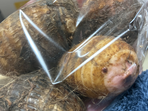 ヌメリはやや控えめでホクホクした食感のサトイモ『赤芽大吉』400g×3袋