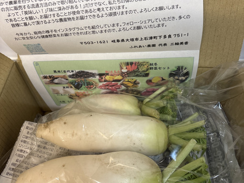 今シーズンラスト！農園野菜で作った『手作りカクテキ！』500g