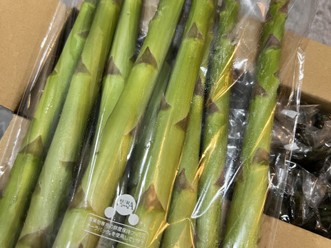 【春芽】極太 THE アスパラガス（サイズミックス）1kg