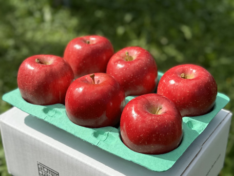 青森県産りんご　葉取らず早生ふじ（ひろさきふじ）　家庭用2㎏【5〜10個】