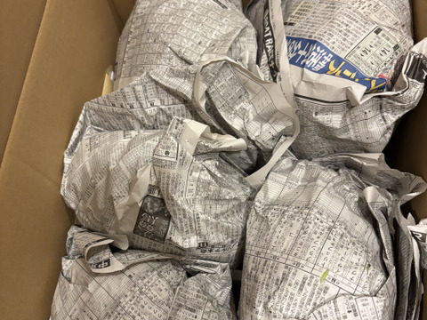 甘い！雪下キャベツ　10ｋｇ（5-6玉）