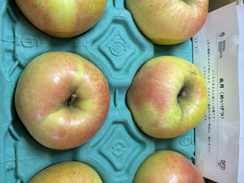 マツコDXさんが絶賛✨【このりんごを嫌いな人はいますか？？】名月 3キロ箱 6玉〜16玉サイズ 商品ID44435 ぐんま名月 甘い 信州 リンゴ 幻 幻のリンゴ 予約 希少