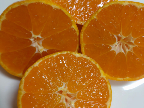 広島県産　興津早生みかん🍊　10kg(箱込み)