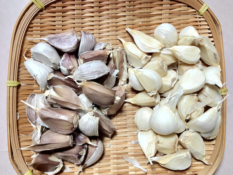 【味くらべ】 ピンク＆ホワイト バラにんにく600g 北海道産 農薬不使用自家栽培にんにく