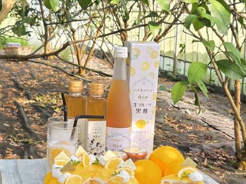 ☆黒酢有機三年熟成八丈島レモン❣200ml　限定品