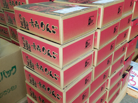 ★青森県イチオシ品種★  
甘い甘い甘い女性に人気の人気品種です♪
特選「トキ」ホワイトキャップ入り５kg１４～１８個