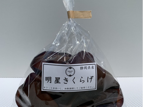 最高品質！生きくらげ「明星きくらげ」100g