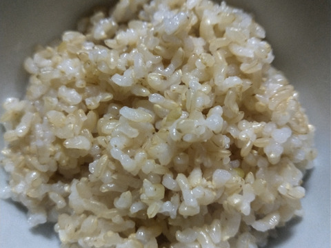 農薬不使用レンゲ米ひのひかり玄米20kg