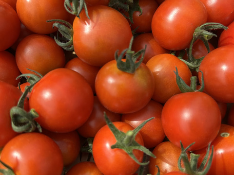 北海道産『ミニトマトネネ』200g×4パック：北海道産のトマト｜食べ